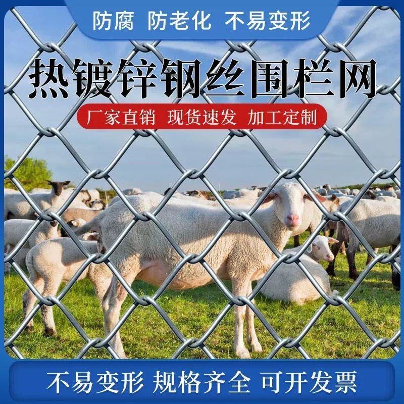 镀锌防锈铁丝网养殖围栏圈牛羊钢丝网果园户外隔离防护网编织