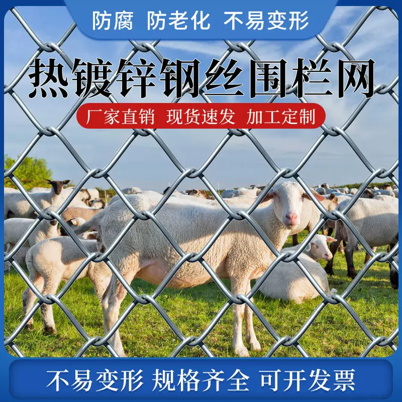 镀锌防锈铁丝网养殖围栏圈牛羊钢丝网果园户外隔离防护网编织
