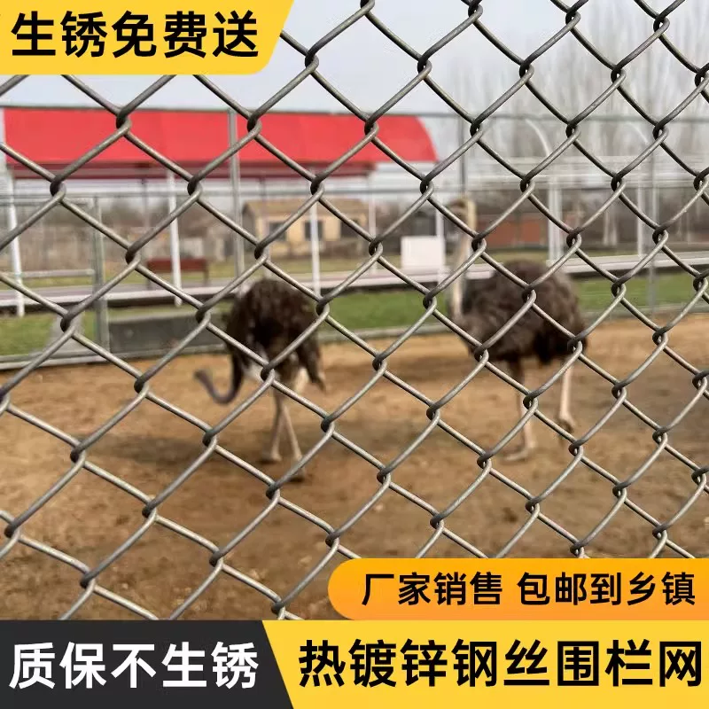 镀锌防锈铁丝网养殖围栏圈牛羊钢丝网果园户外隔离防护网编织