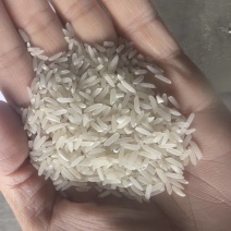 米饲软松