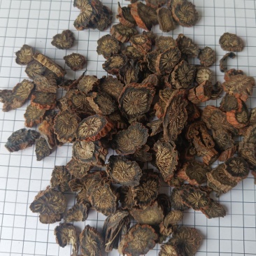 丹参山东红丹参紫丹参可泡茶新货无硫实拍现货24小时内发货