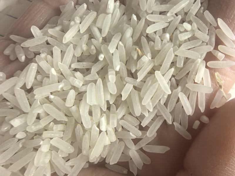 泰优553