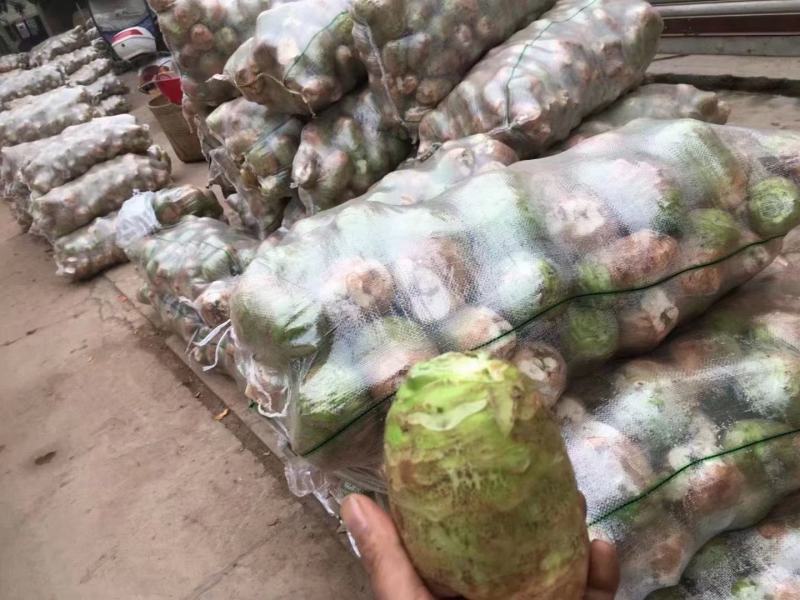 四川精品大头菜圆头无空心