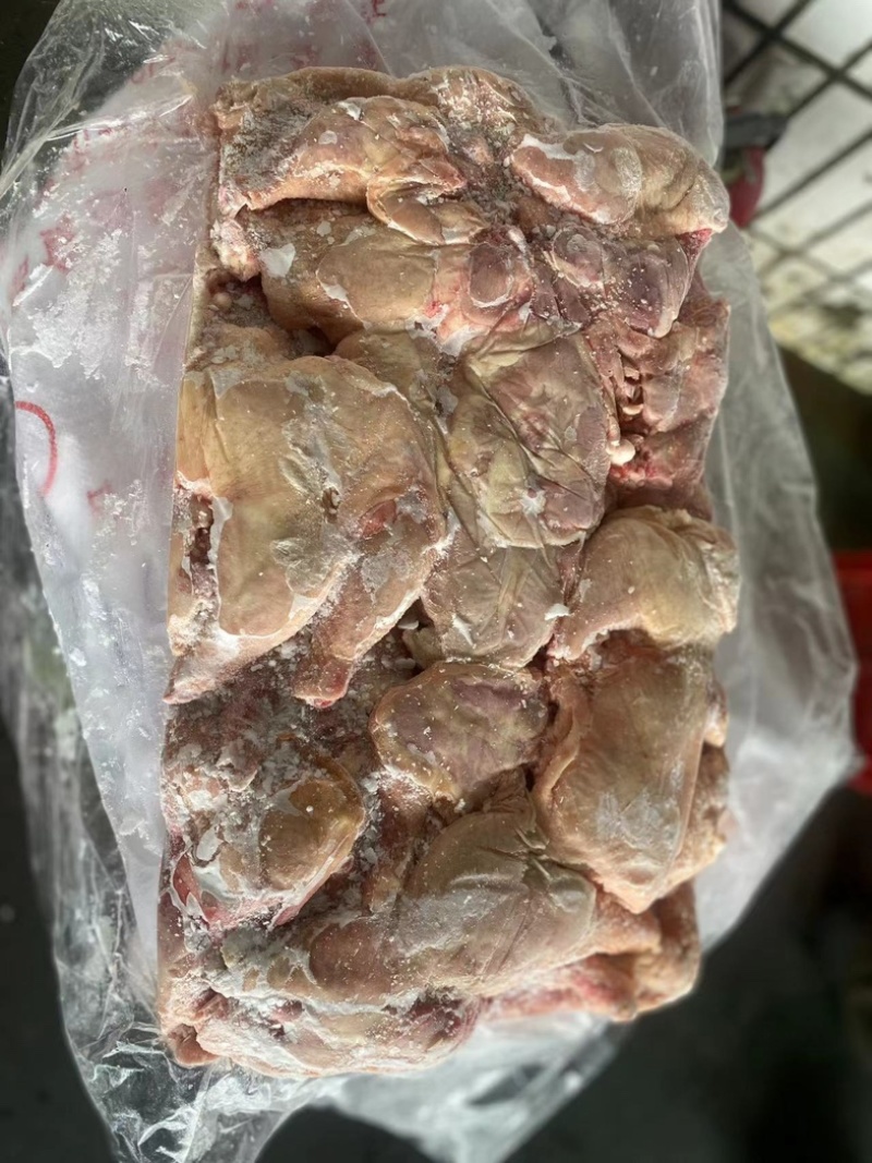 二级排腿