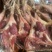 腊肠腊肉腊鸭腊味厂家直供一手货源批发