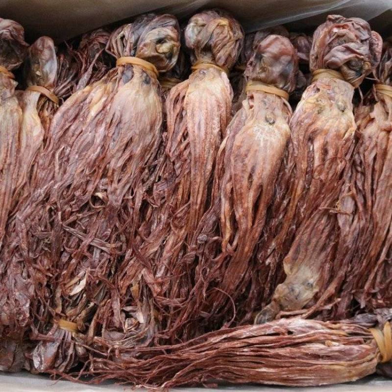章鱼干，淡干清水，本身自带海水的鲜味，干度好颜色好