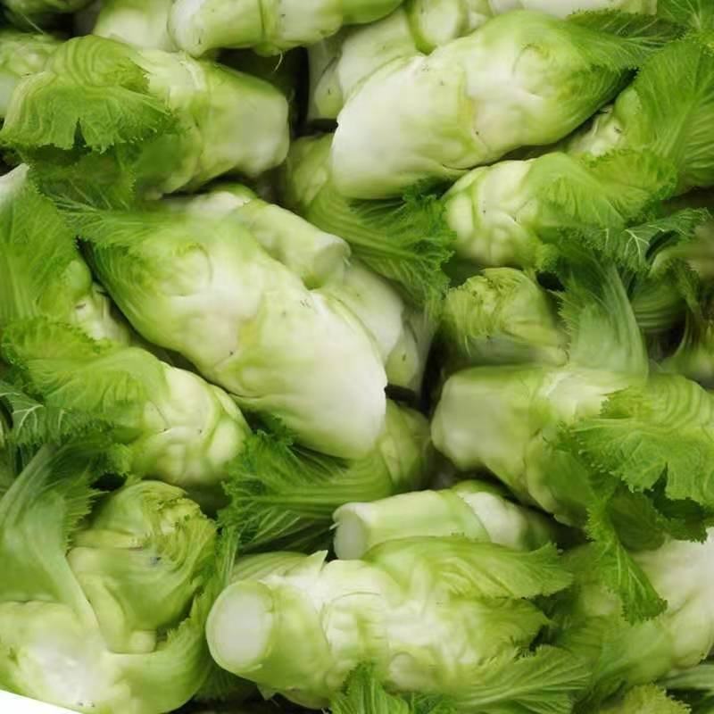 现货儿菜，多子菜，儿菜头，安徽产地现摘现发，货源充足