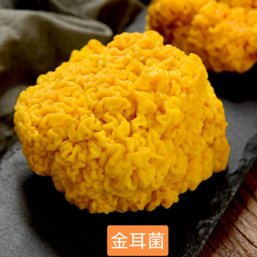 金耳菌鲜品，有需要的直接电话联系我。