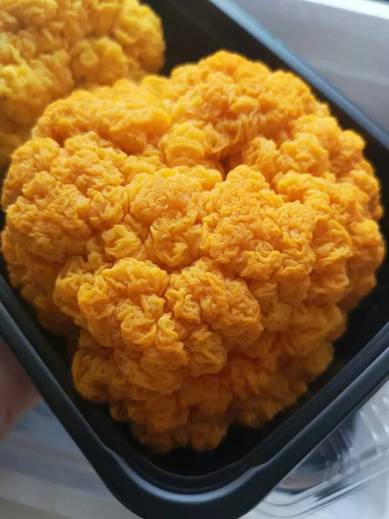 金耳菌鲜品，有需要的直接电话联系我。