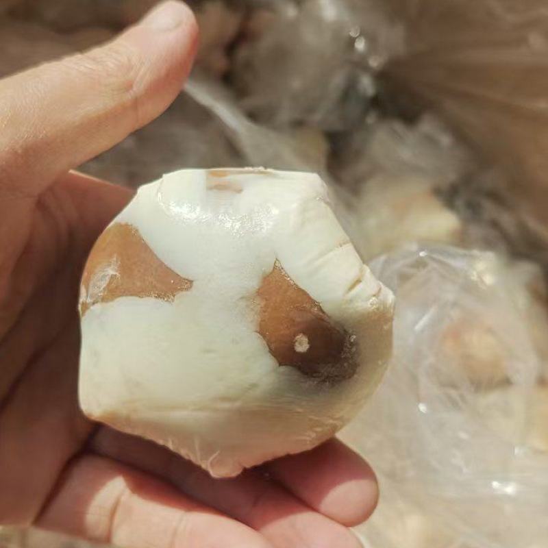 内蒙原油羊腰一手货源保质保量欢迎各地老板采购