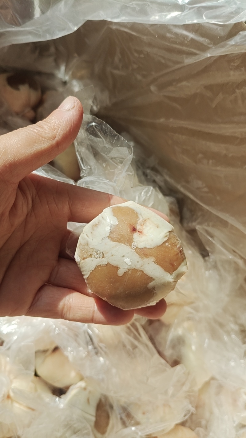 内蒙原油羊腰一手货源保质保量欢迎各地老板采购