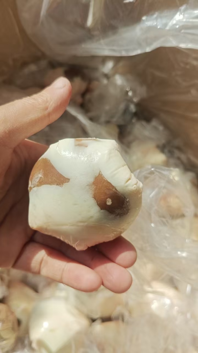 内蒙原油羊腰一手货源保质保量欢迎各地老板采购