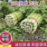 【推荐】河南芹菜产地直发大量供应量大从优对接全国