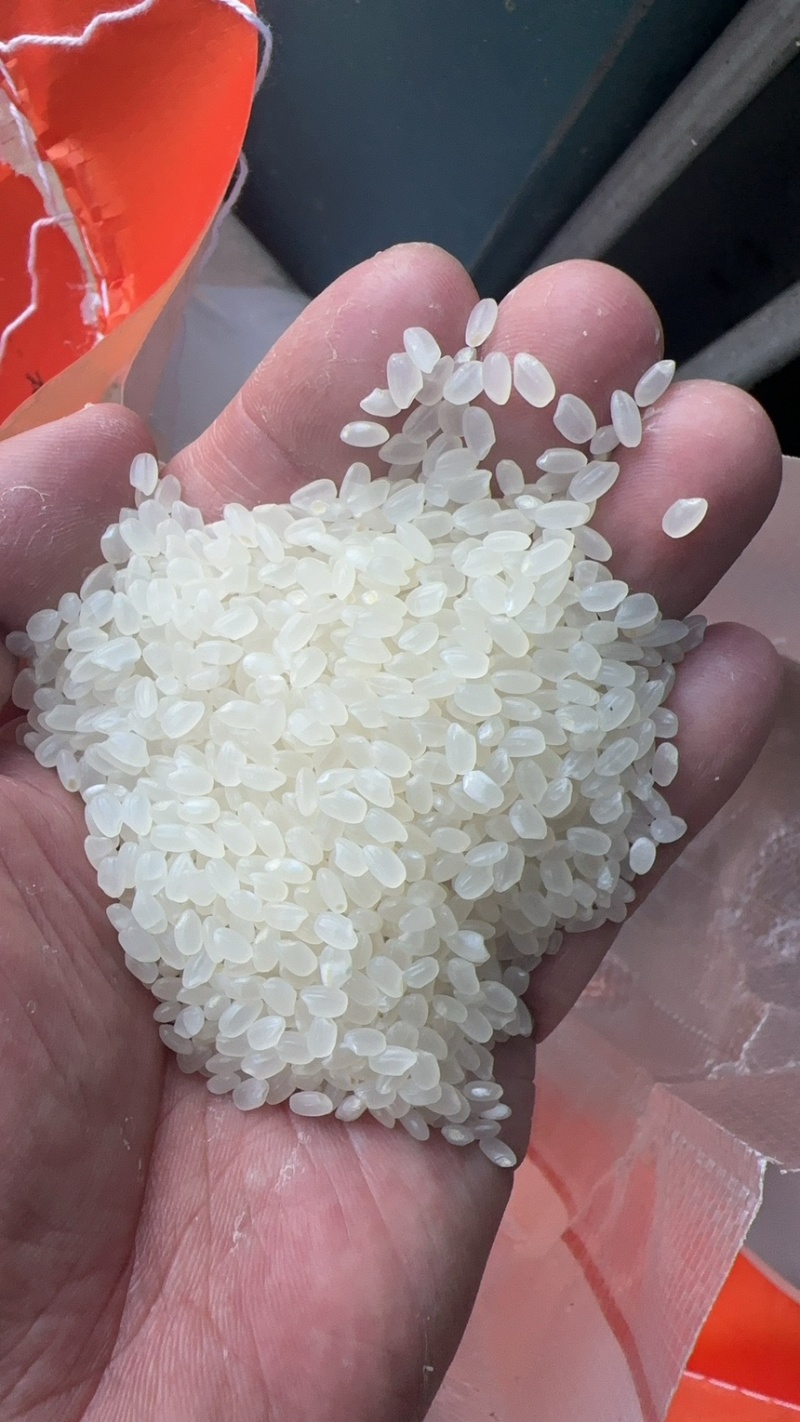 黑龙江东北一级东北珍珠米庆安新米新收割