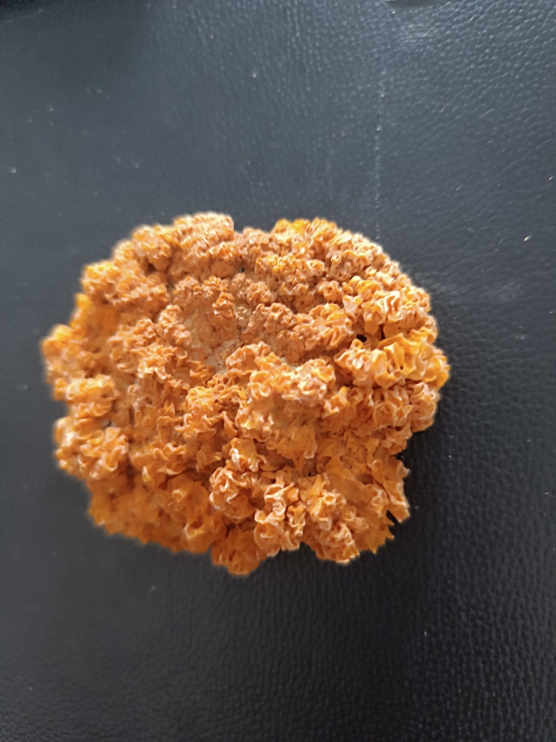 金耳干品，有需要的直接电话联系我量多优惠，欢迎交流合作。