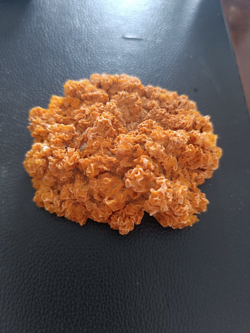 金耳干品，有需要的直接电话联系我量多优惠，欢迎交流合作。