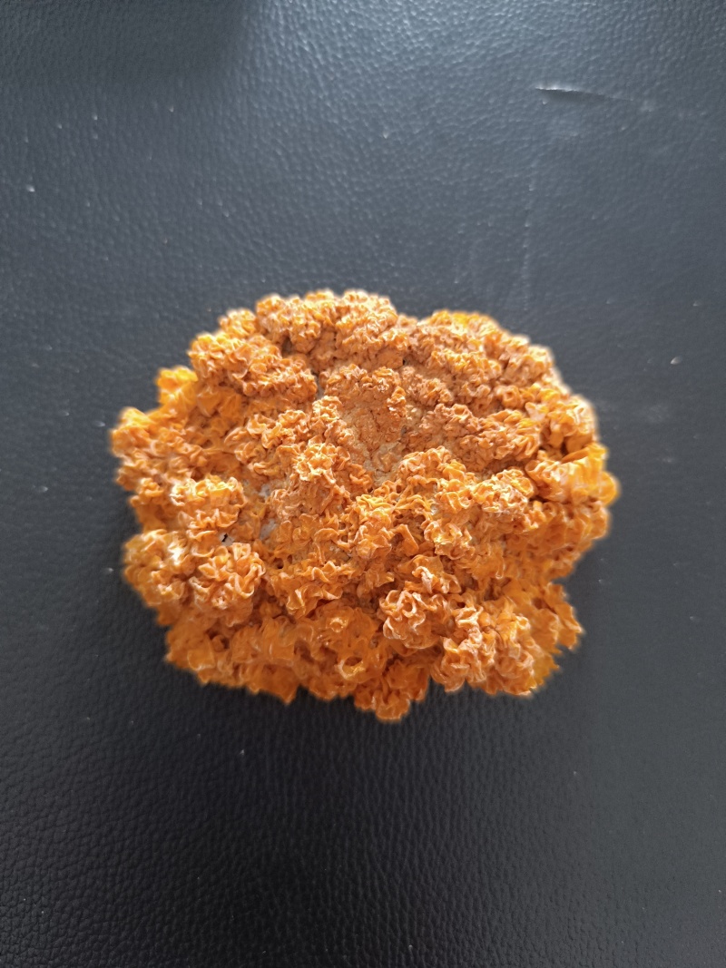 金耳干品，有需要的直接电话联系我量多优惠，欢迎交流合作。