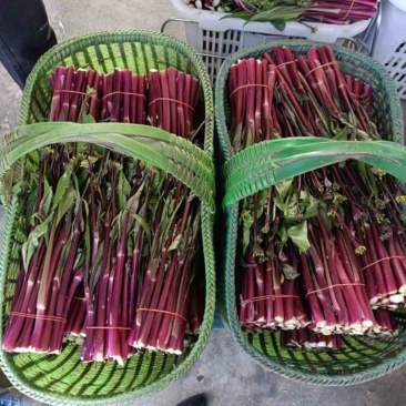 精品红菜苔上市了，需要的老板致电