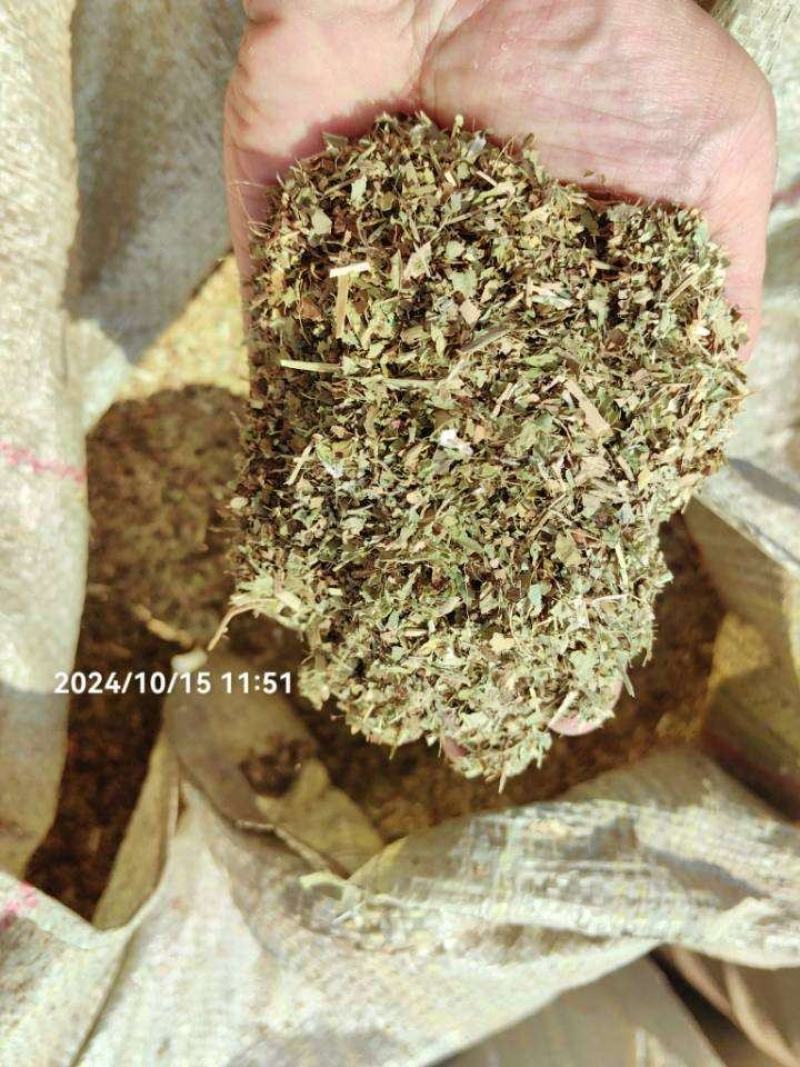 优质花生秧草
