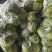 精品甘蓝，品质保证大量有货，现摘现发，欢迎选购
