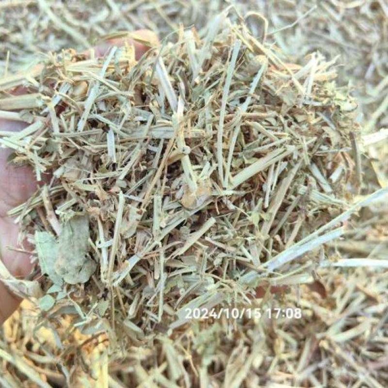 优质花生秧草