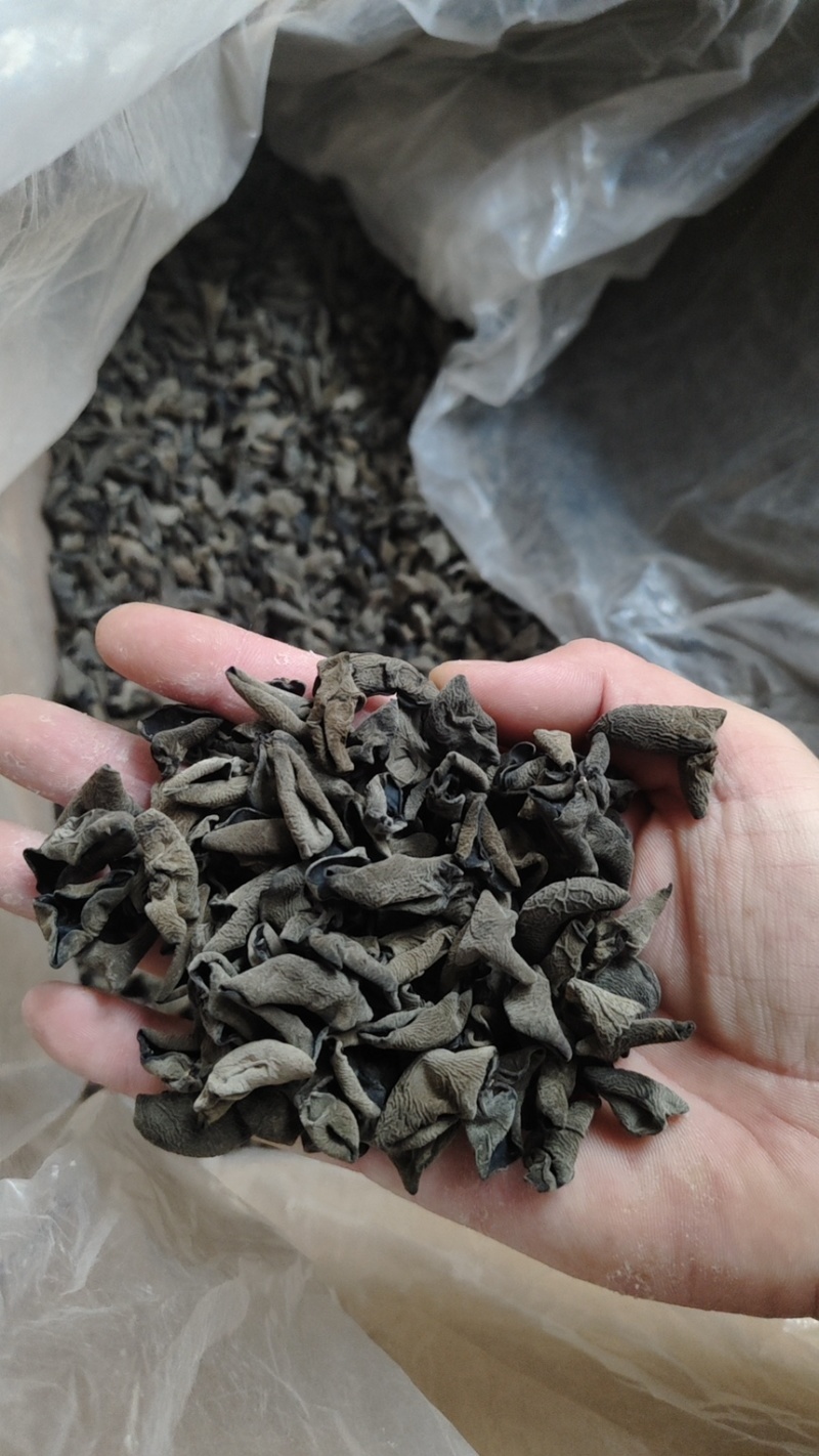 小云耳黑木耳秋耳冬耳各种包装质量可对比