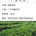 潮州特产凤凰单丛茶蜜兰香高山茶耐冲泡送礼佳品
