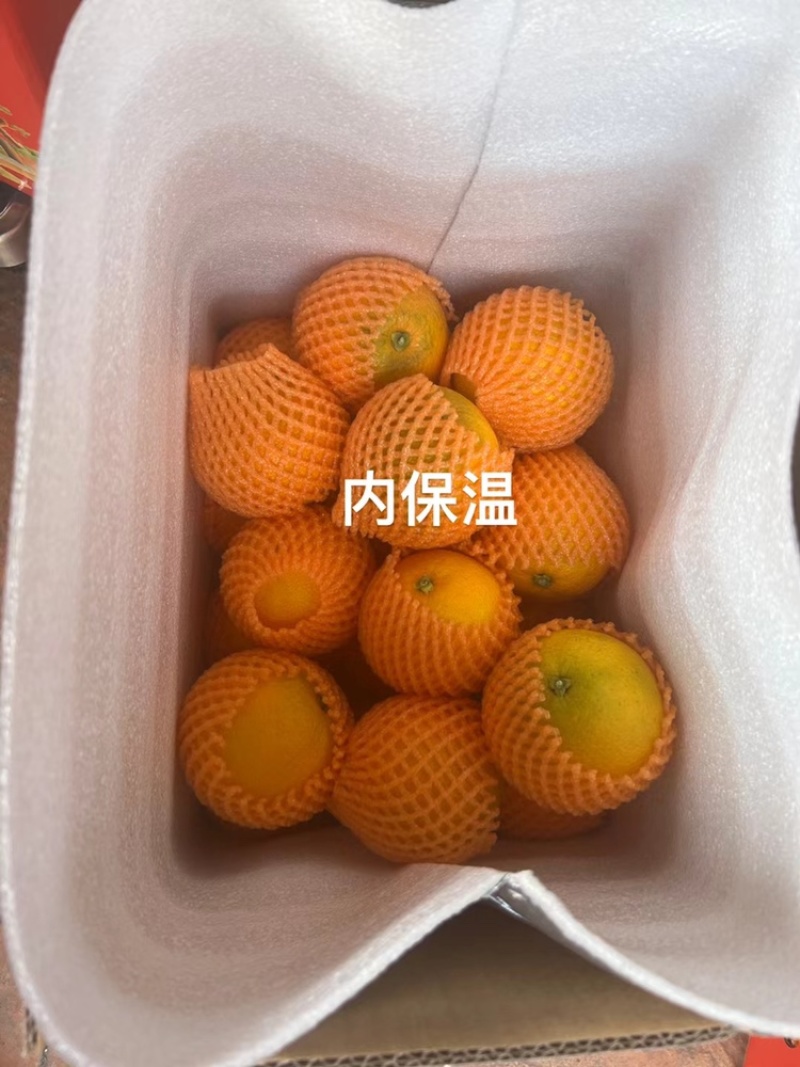【九月红脐橙】产地直供，现摘现发，拒绝科技狠活一件也包邮
