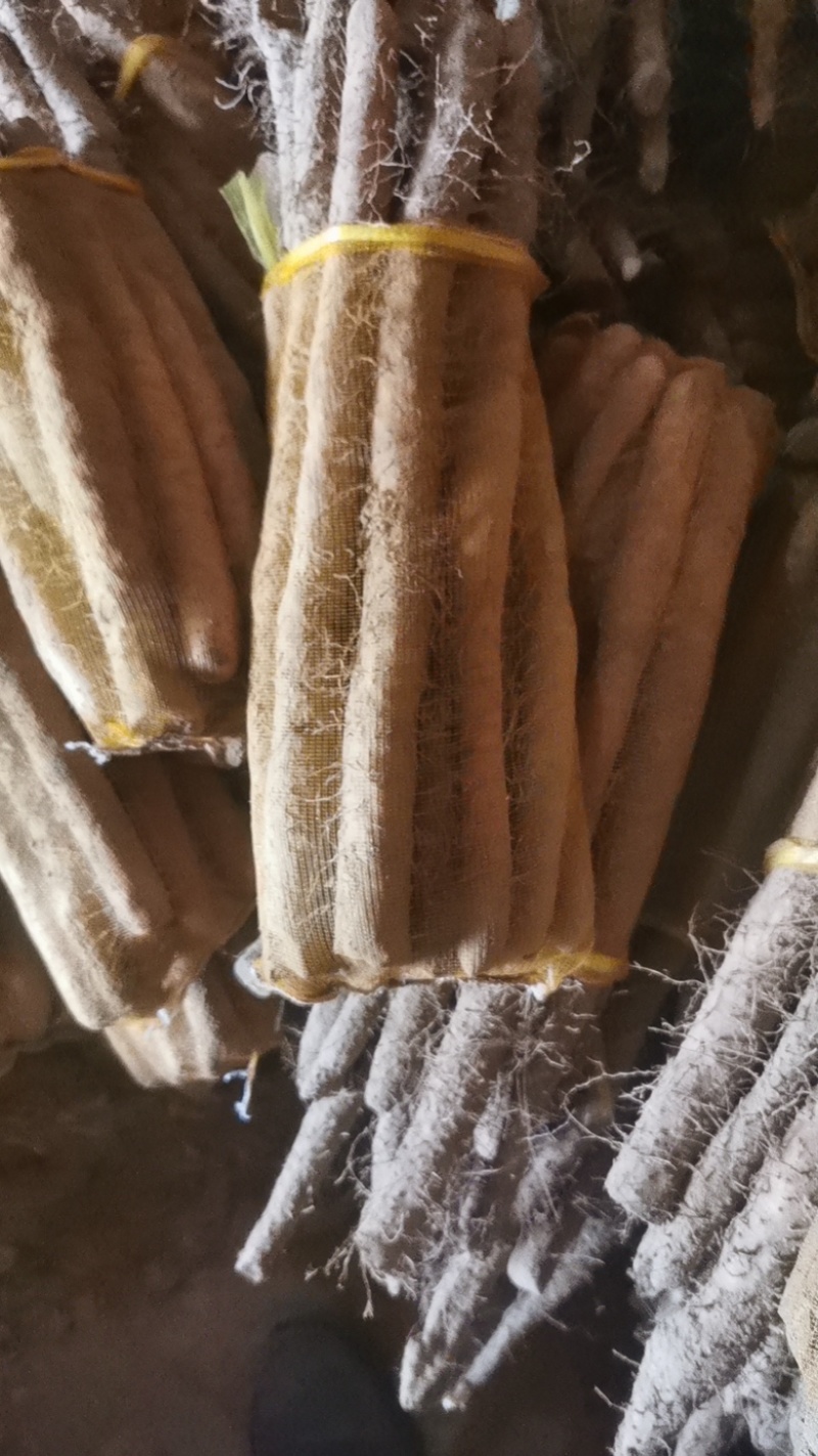优选铁棍山药保质保量诚信经营大量出货有一级大货二路货