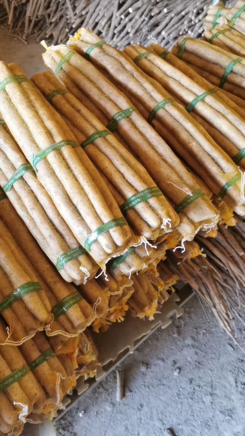 优选铁棍山药保质保量诚信经营大量出货有一级大货二路货