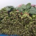 菠菜，我们这里的菠菜种植历史悠久，货量大，品质好