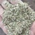 精品花生秧叶粉大量上市多要优惠欢迎来电咨询