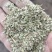 精品花生秧叶粉大量上市多要优惠欢迎来电咨询