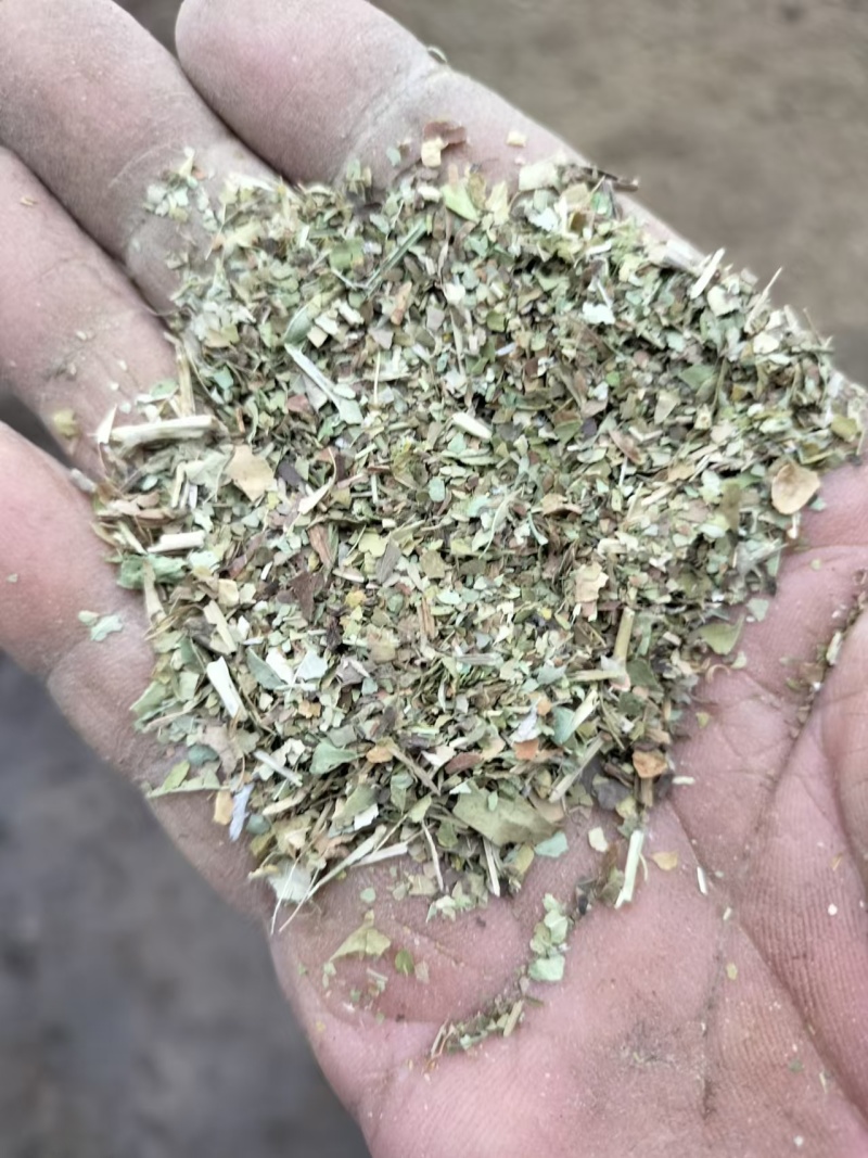 精品花生秧叶粉大量上市多要优惠欢迎来电咨询