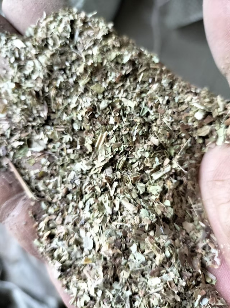 精品花生秧叶粉大量上市多要优惠欢迎来电咨询