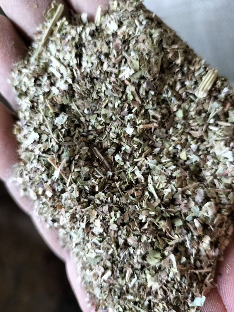 精品花生秧叶粉大量上市多要优惠欢迎来电咨询