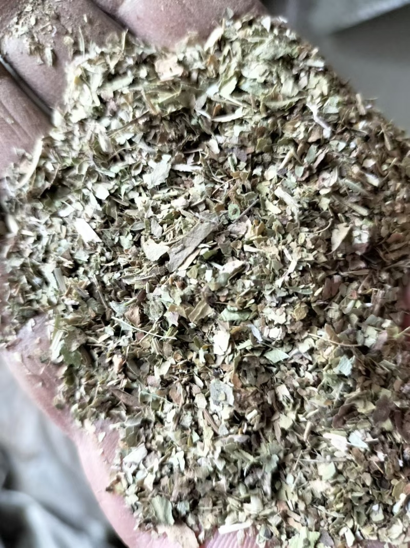 精品花生秧叶粉大量上市多要优惠欢迎来电咨询