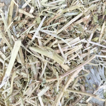 花生秧草料产地直发一手货源诚信经营价格便宜欢迎来电