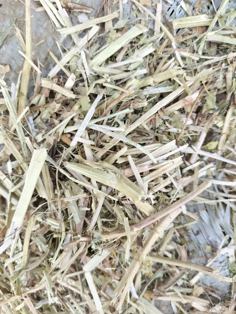 花生秧草料产地直发一手货源诚信经营价格便宜欢迎来电