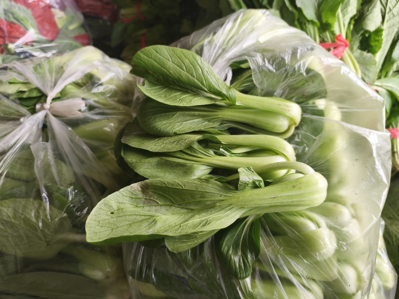 油菜，我们这里种植油菜面具大，种植历史悠久，品质有保证