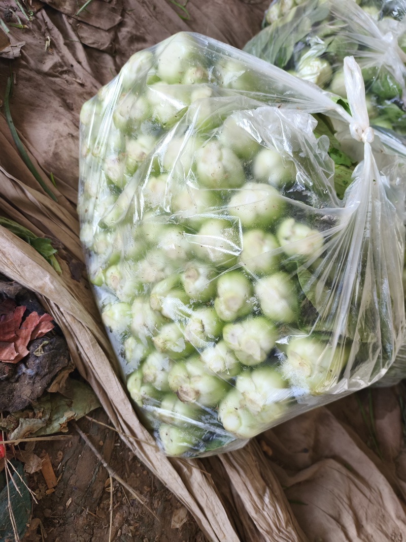 油菜，我们这里种植油菜面具大，种植历史悠久，品质有保证