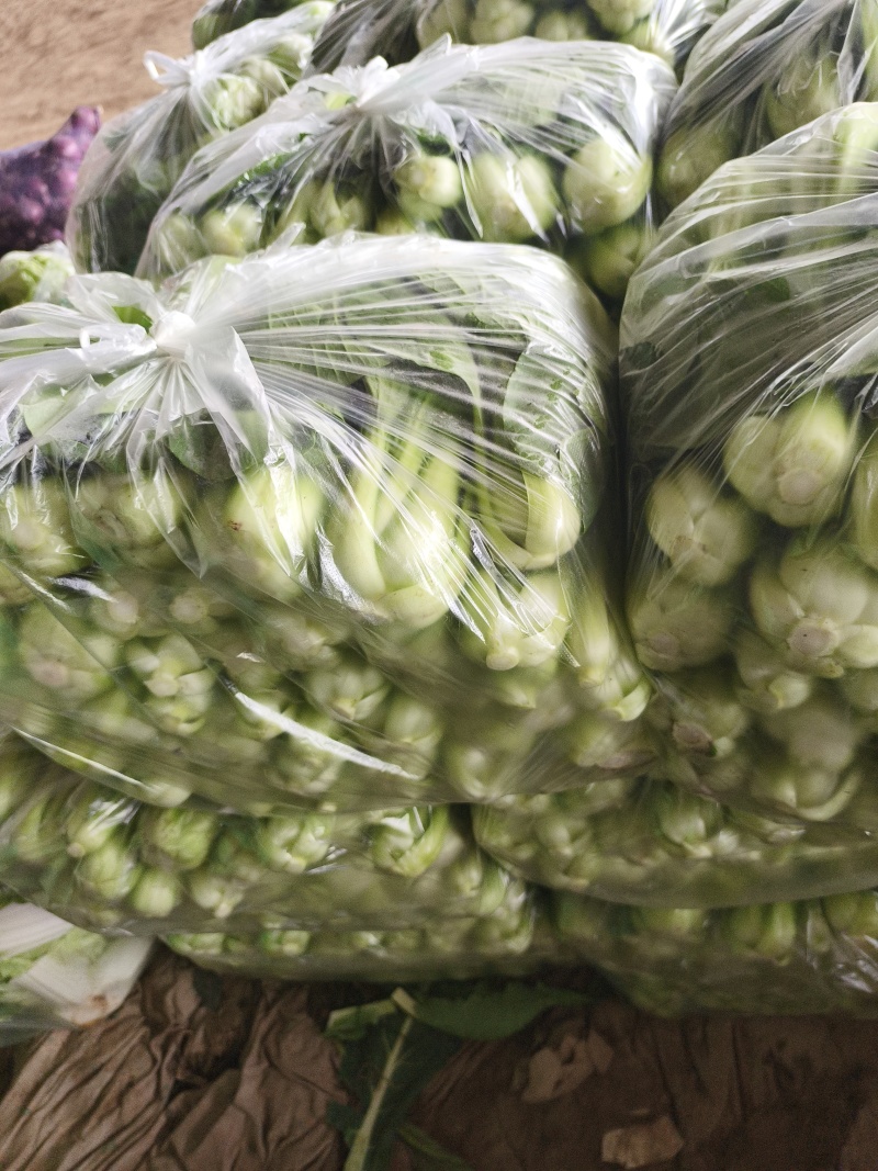 油菜，我们这里种植油菜面具大，种植历史悠久，品质有保证