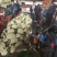 我们这里种植的有机花历史悠久，面具大，品质好