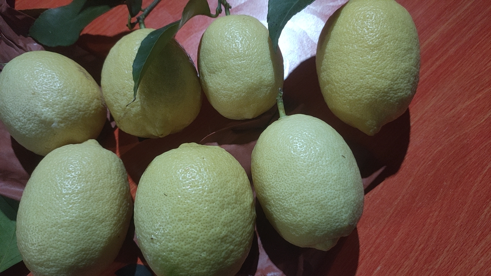 尤力克柠檬的成熟果实,呈金黄色,果皮光滑,切开后可见果肉分瓣清晰 尤力克柠檬外观展示