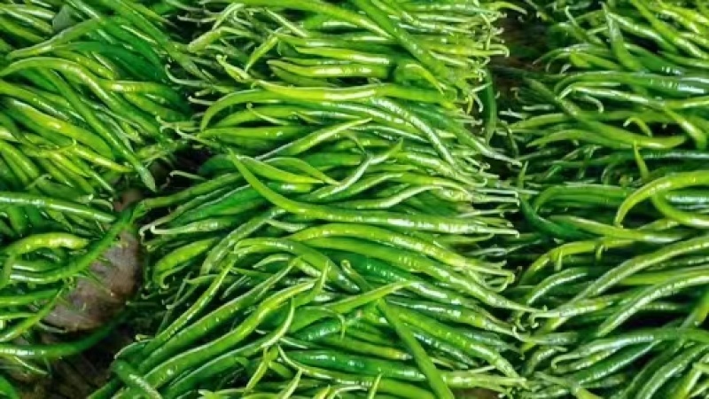 黑线3号线椒