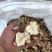 洋姜菊芋干片鬼子山药洋姜片鬼子姜菊芋一手货源厂家直发