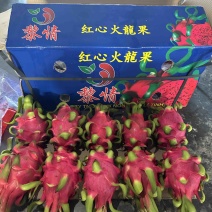 主营火龙果产地工厂直销，质量保证，果园直采