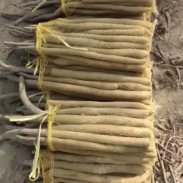 网袋河北山药网袋小货假铁棍保证质量诚信报价包上车
