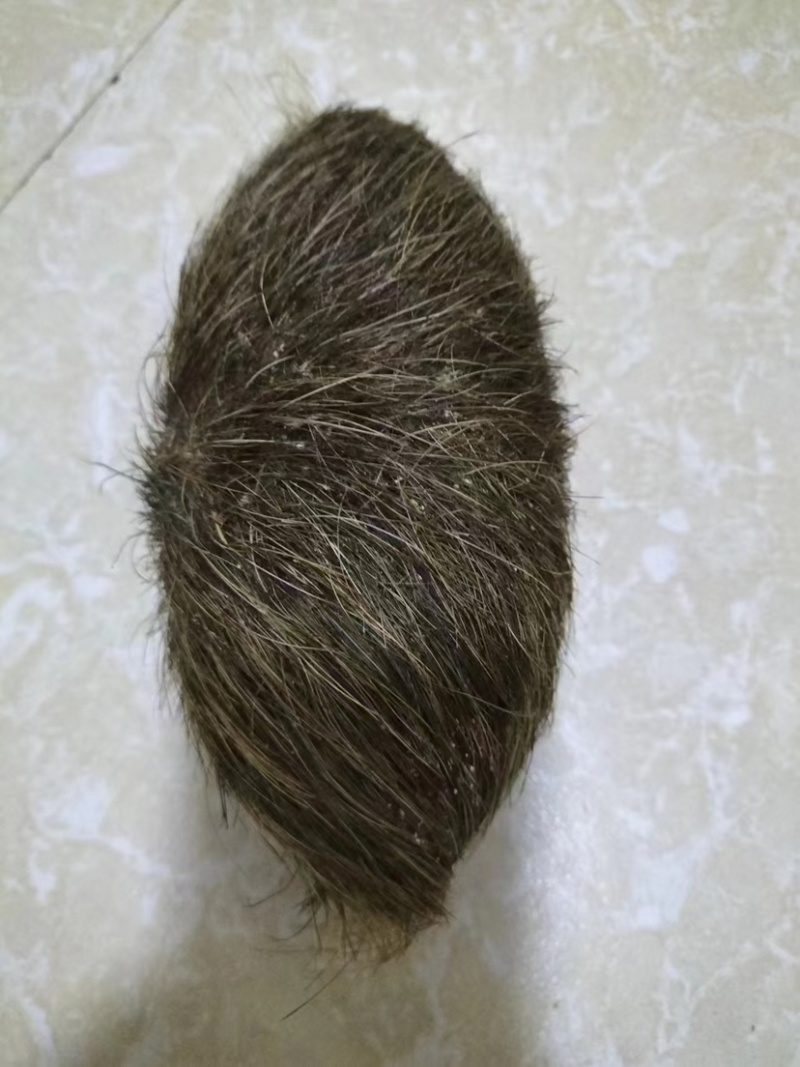 猪宝各种规格支持视频看货价格优惠