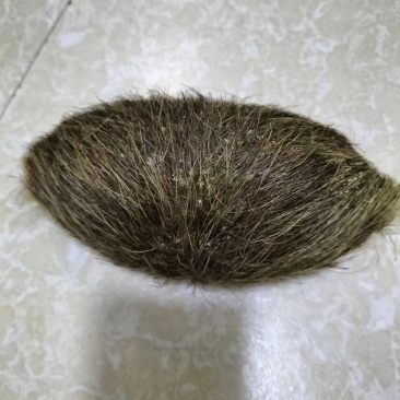 猪宝中药材大小都有价格美丽欢迎老板来谈